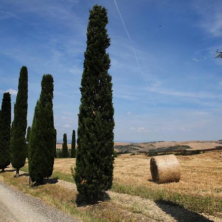 Agriturismo Bagnaia San Quirico dʼOrcia Екстериор снимка