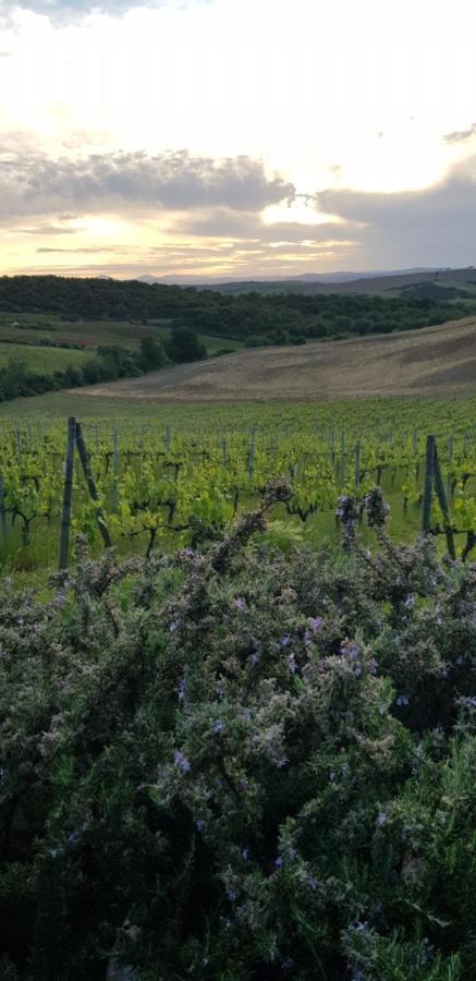 Agriturismo Bagnaia San Quirico dʼOrcia Екстериор снимка