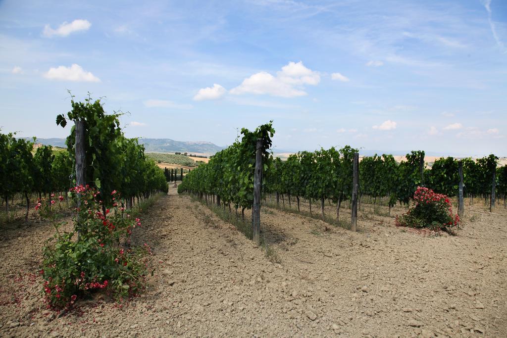 Agriturismo Bagnaia San Quirico dʼOrcia Екстериор снимка