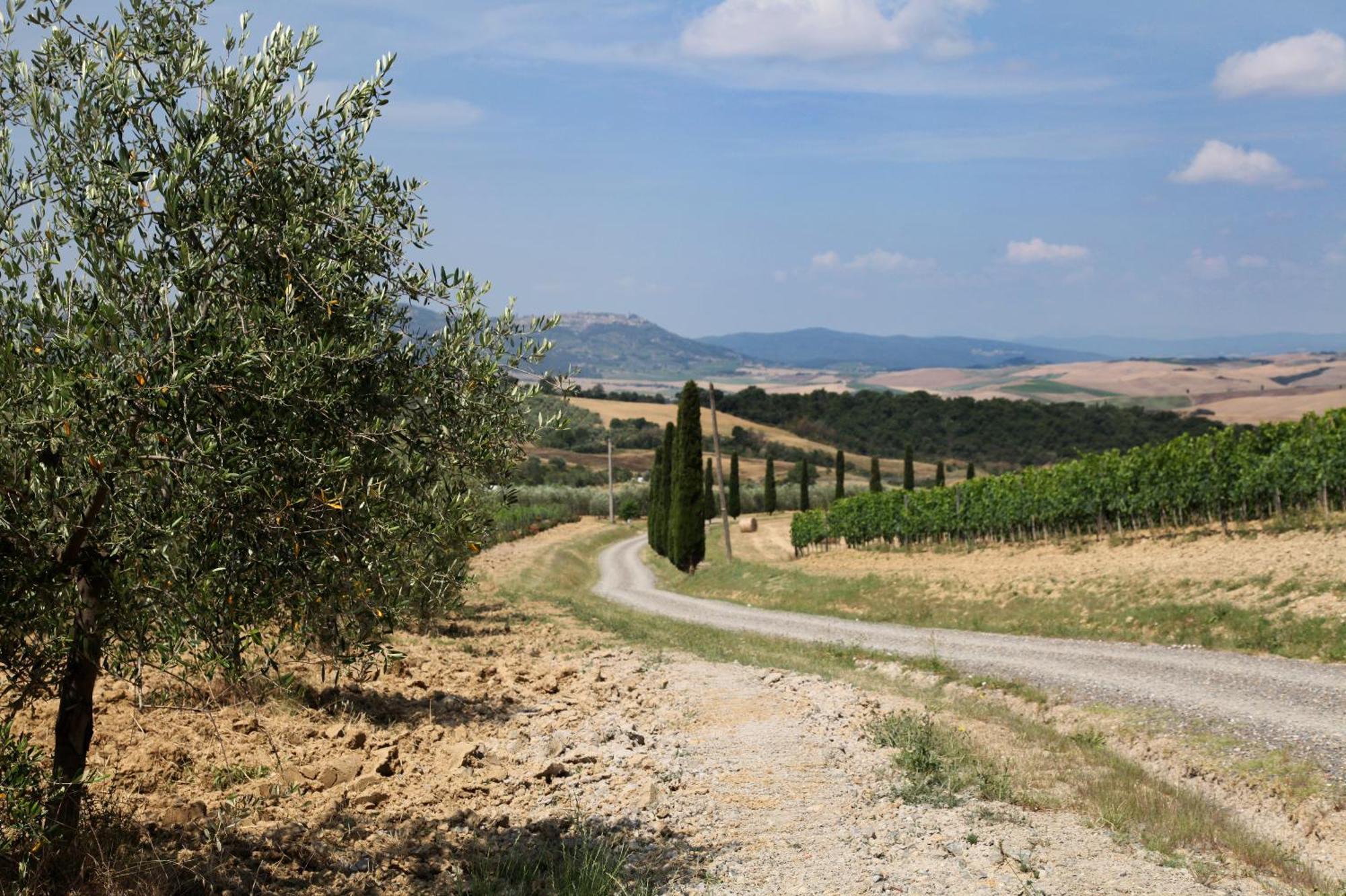 Agriturismo Bagnaia San Quirico dʼOrcia Екстериор снимка