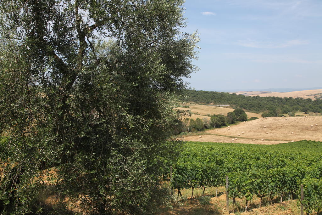 Agriturismo Bagnaia San Quirico dʼOrcia Екстериор снимка