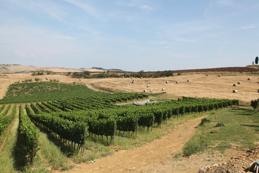 Agriturismo Bagnaia San Quirico dʼOrcia Екстериор снимка