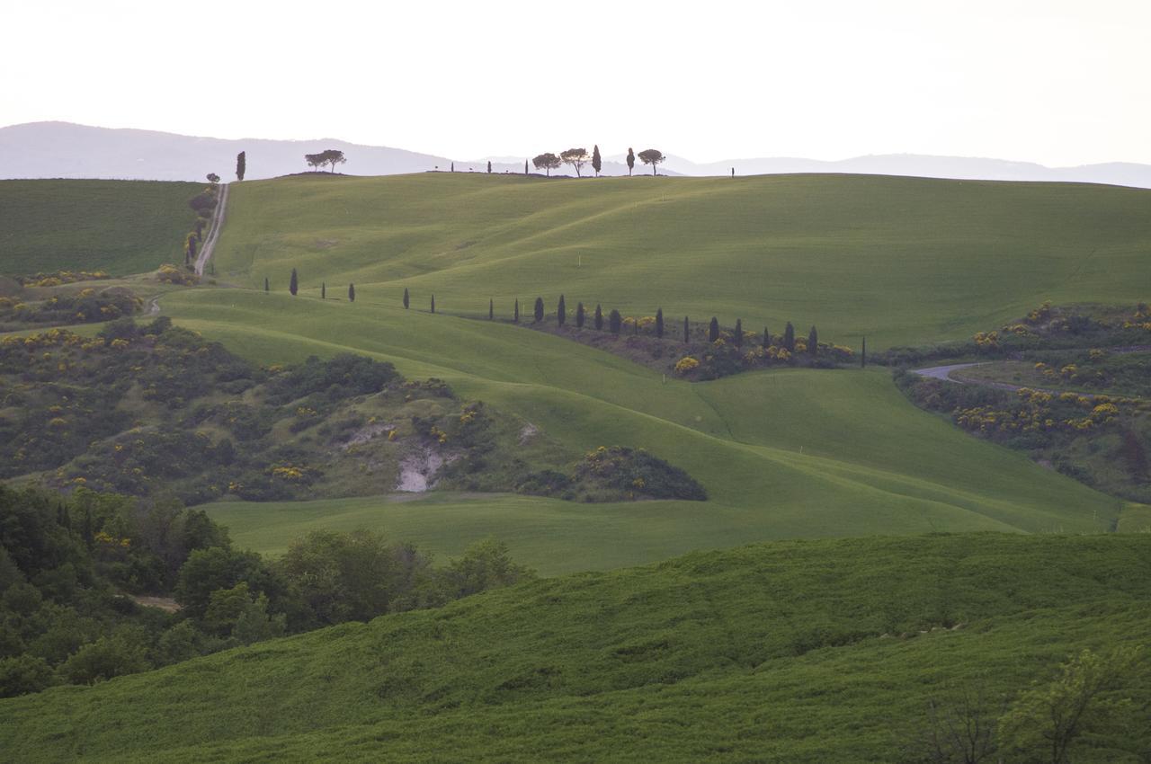 Agriturismo Bagnaia San Quirico dʼOrcia Екстериор снимка