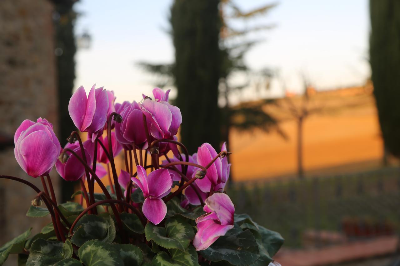 Agriturismo Bagnaia San Quirico dʼOrcia Екстериор снимка