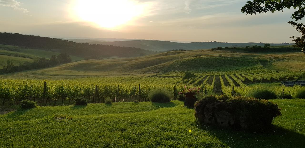Agriturismo Bagnaia San Quirico dʼOrcia Екстериор снимка